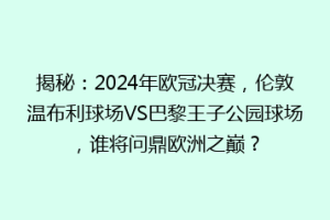 揭秘：2024年欧冠决赛，伦敦温布利球场VS巴黎王子公园球场，谁将问鼎欧洲之巅？