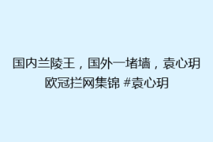 国内兰陵王，国外一堵墙，袁心玥欧冠拦网集锦 #袁心玥