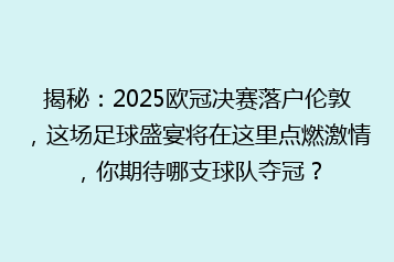 揭秘:2025欧冠决赛落户伦敦,这场足球盛宴将在这里点燃激情,你期待哪支球队夺冠?