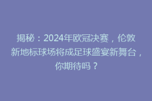 揭秘：2024年欧冠决赛，伦敦新地标球场将成足球盛宴新舞台，你期待吗？