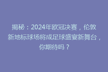揭秘:2024年欧冠决赛,伦敦新地标球场将成足球盛宴新舞台,你期待吗?
