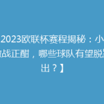 【2023欧联杯赛程揭秘：小组赛激战正酣，哪些球队有望脱颖而出？】