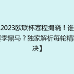 【2023欧联杯赛程揭晓！谁是新赛季黑马？独家解析每轮精彩对决】